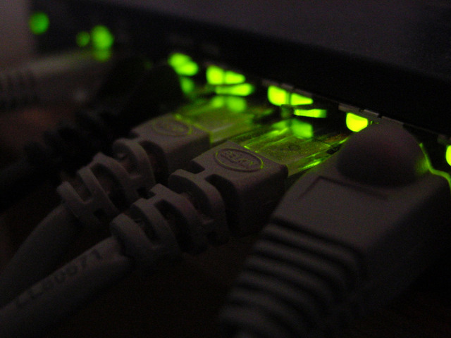 Zdjęcie przedstawiające kable internetowe podłączone do urządzenia.